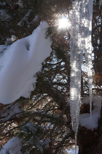 image icicle socorro.jpg